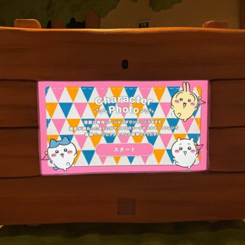 木の周りのシャッターチャンス