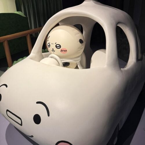ラッコの車