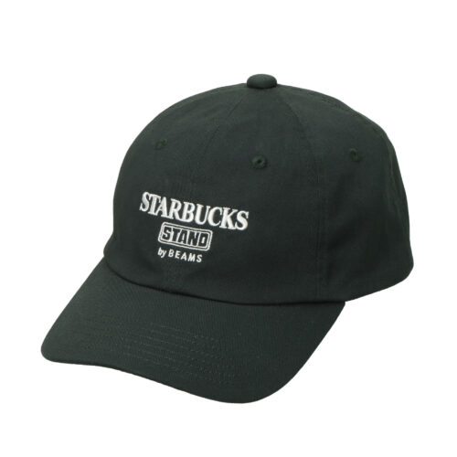 6P LOGO キャップ ¥6,600