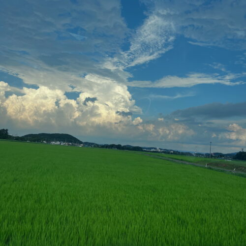 那須塩原の田園風景