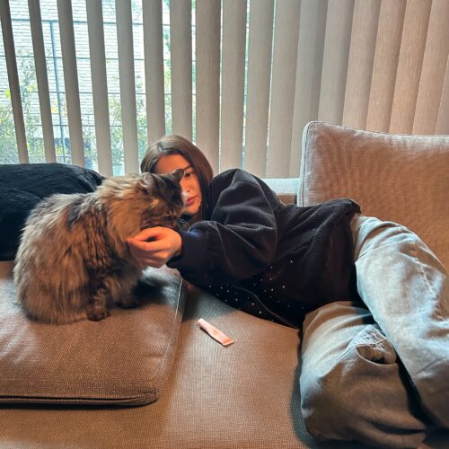 アイリンの好きなもの③猫