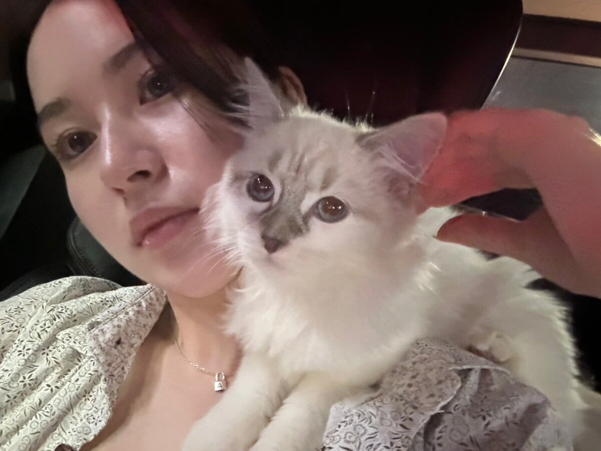 アイリンの好きなもの③猫