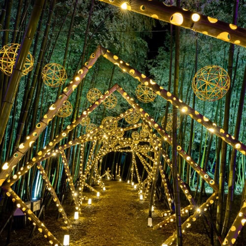 夜の竹林の道。竹でできた三角形のトンネルが、無数の小さなライトで輝いています。トンネルの上には球形の照明が吊るされ、幻想的な空間が広がっています。