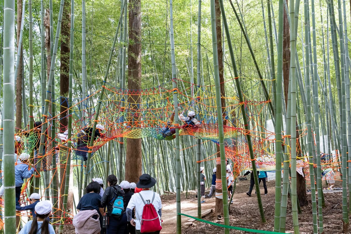 【秋の連休におすすめ】竹林が光のアート空間に！新潟「たがみバンブーブー2025」を徹底解説