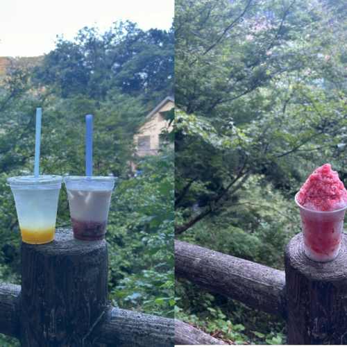 「ひのはら陶芸館ギャラリー喫茶やまびこ」