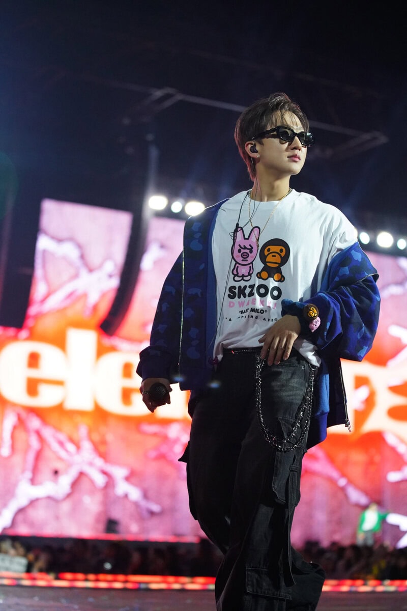 A BATHING APE®×Stray Kids
