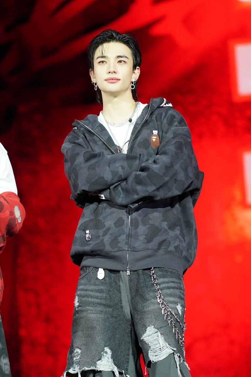 A BATHING APE®×Stray Kids
