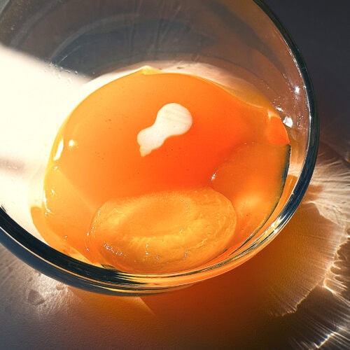 崎陽軒 あんずゼリー ~ひょうちゃん寒天入り