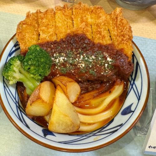 【群馬】手仕込みカツの濃厚デミぶっかけ