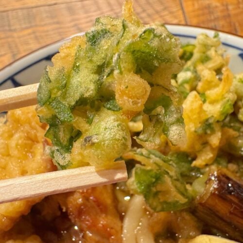 さらに、春菊やえのきのバラ天ぷらが添えられており、彩りも豊か
