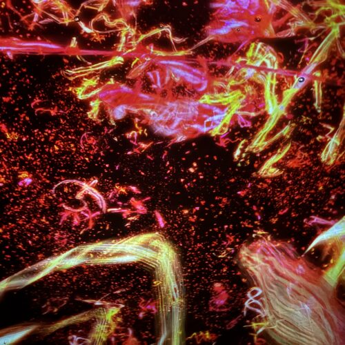 チームラボ《The Eternal Universe of Words》
