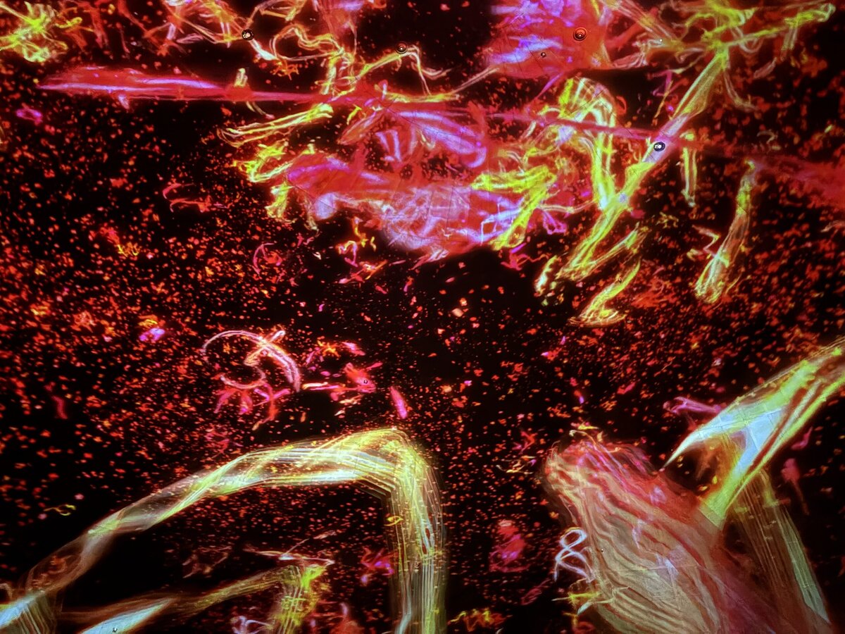 チームラボ《The Eternal Universe of Words》