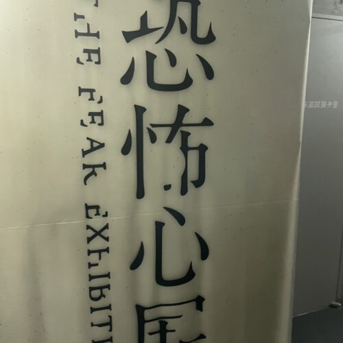 STANFORD所属のモデル・中山エマの好きなもの③ホラー作品