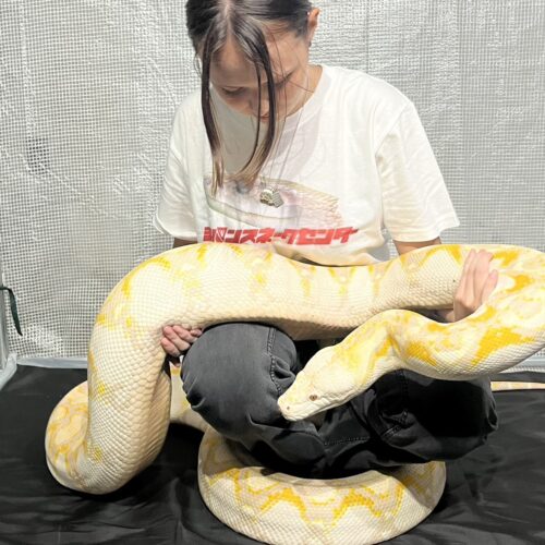 STANFORD所属のモデル・中山エマの好きなもの④動物