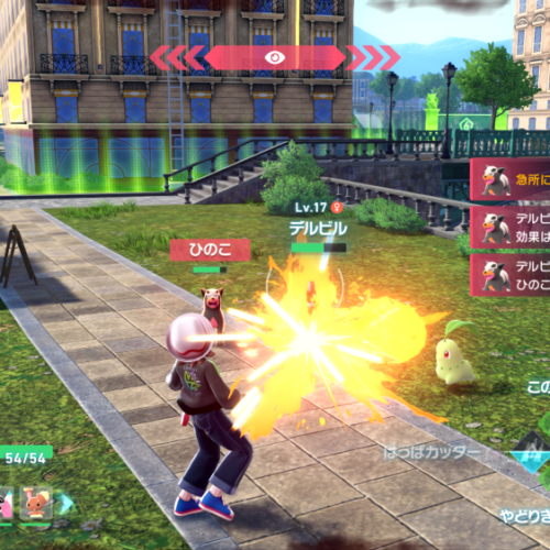 ワイルドゾーンで野生のポケモンをゲット