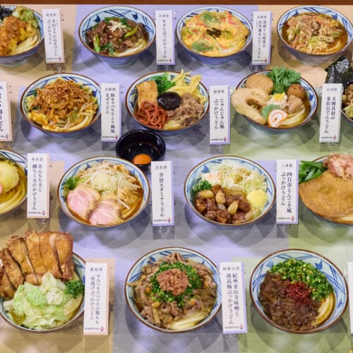 会場にズラリと並んだ圧巻の全47品は、もはや「うどん」というジャンルを超えたようなメニューも……。
