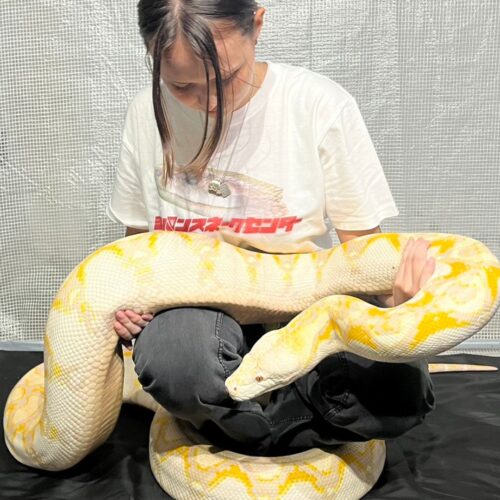 爬虫類ガチ勢、フロサポ、ホラーオタ…モデル中山エマの“推し活”の幅が広すぎ!