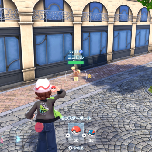 ワイルドゾーンで野生のポケモンをゲット