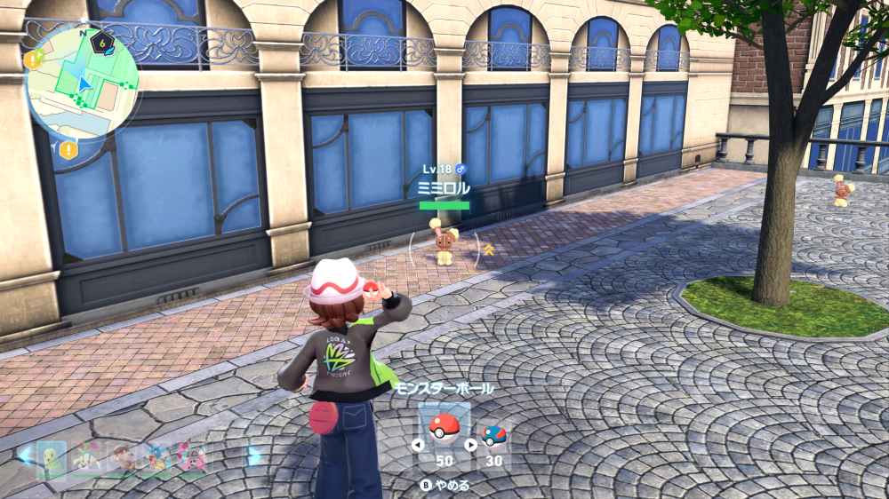 ワイルドゾーンで野生のポケモンをゲット