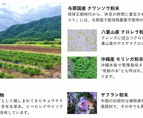 DEEPRESTサプリメントに使用されている成分与那国産のクワンソウ、八重山産のクロレラなどの説明。