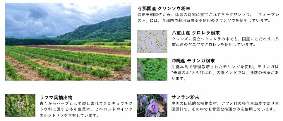 「寝る前30分で整う」Beの“ナイトフォレストコフレ”が話題…睡眠の質を変える新習慣とは？