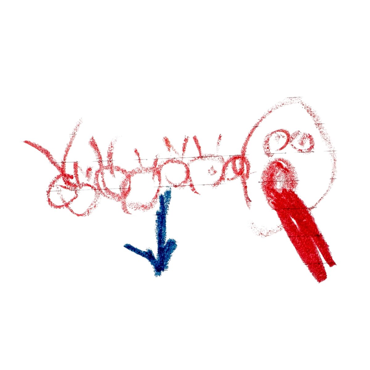 シーナ25年11月のしし座の運勢イメージ