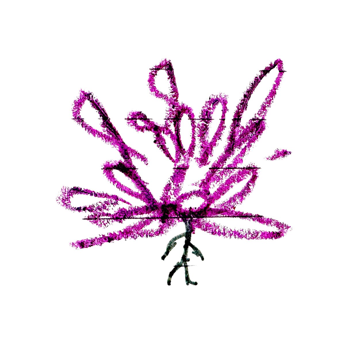 シーナ25年12月のいて座の運勢イメージ