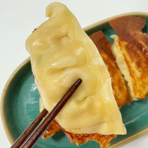 大きさも普通の餃子と変わりなし！