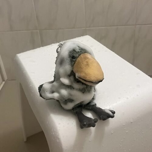 STANFORD所属のモデル・ミクの好きなもの③ぬい活