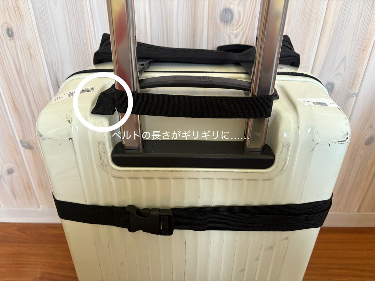 スタンダードプロダクツ　スーツケースに付けられるバッグ