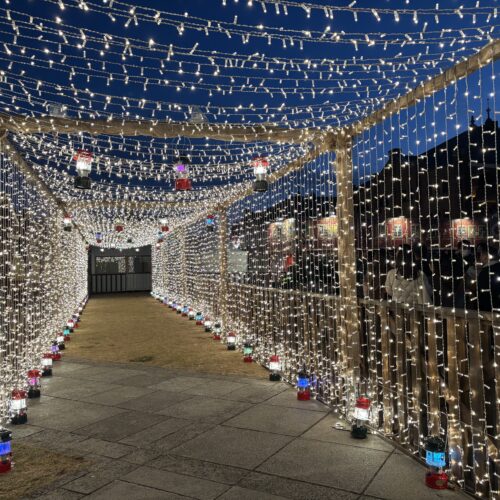 Christmas Market in 横浜赤レンガ倉庫　光のトンネル
