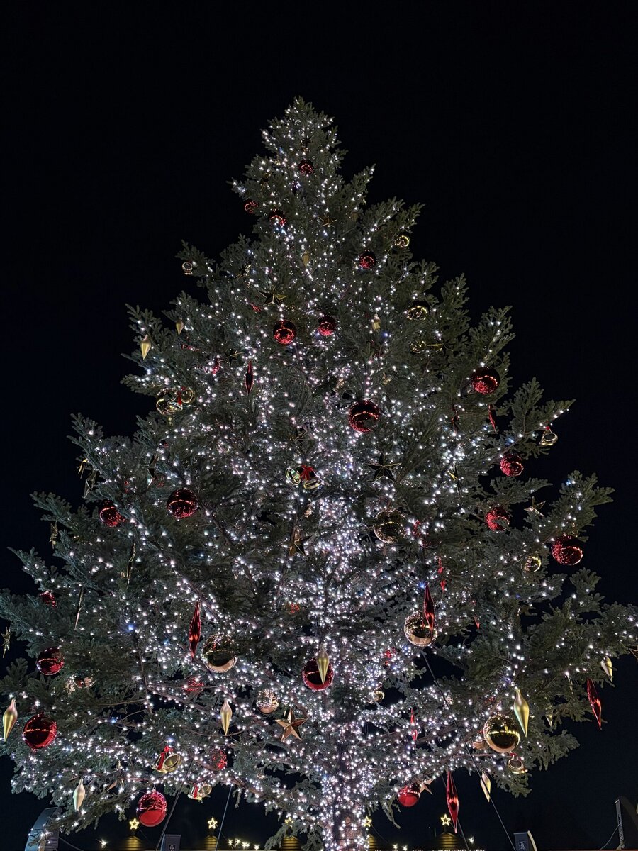Christmas Market in 横浜赤レンガ倉庫 巨大クリスマスツリー