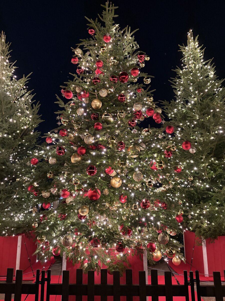 Christmas Market in 横浜赤レンガ倉庫 クリスマスツリー