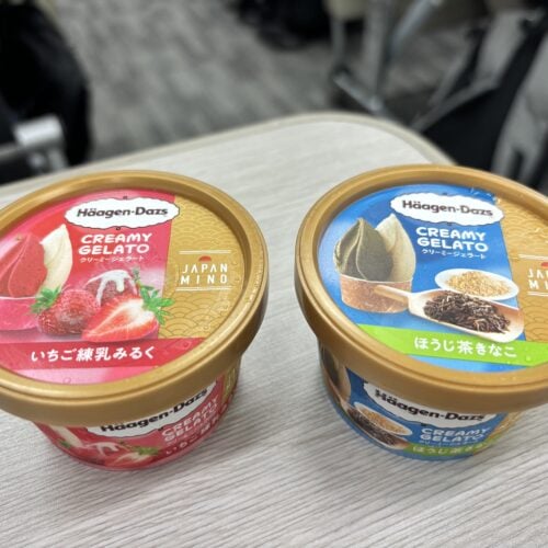 ハーゲンダッツ　「CREAMY GELATO（クリーミー ジェラート）」シリーズ2種