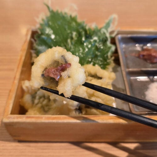 杉玉　国産天然鱧と大葉の天ぷら梅わさび