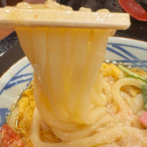 とろ〜り濃厚な熱々のあんかけが打ち立て麺にぴたっと絡みます