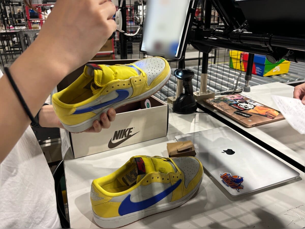 スニダンベース　鑑定