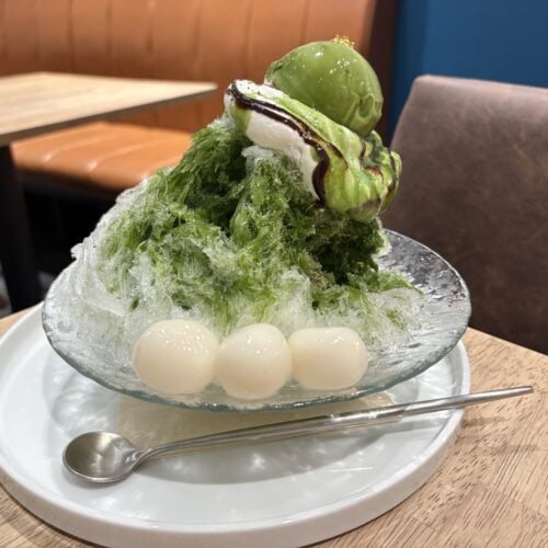 ナイン 9＋　西尾の抹茶かき氷～濃厚抹茶アイス添え～