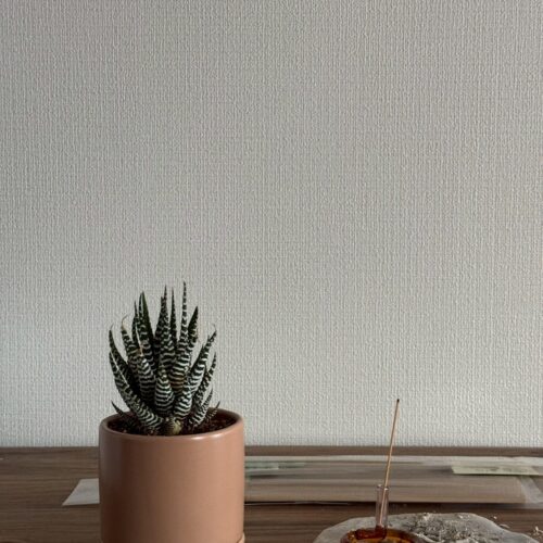 STANFORD所属のモデル・アキの好きなもの③植物