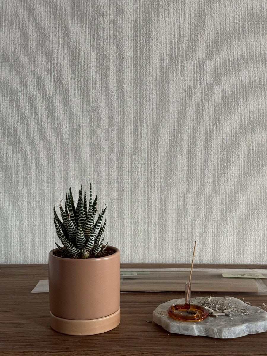 STANFORD所属のモデル・アキの好きなもの③植物