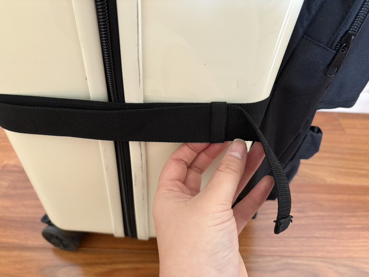 スタンダードプロダクツ　スーツケースに付けられるバッグ