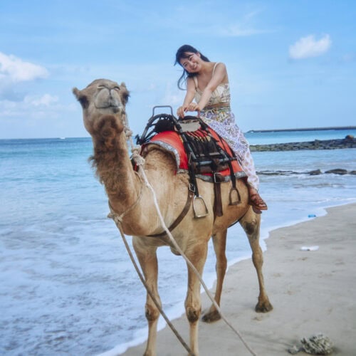 『福井梨莉華 1st写真集 あいの道しるべ』より