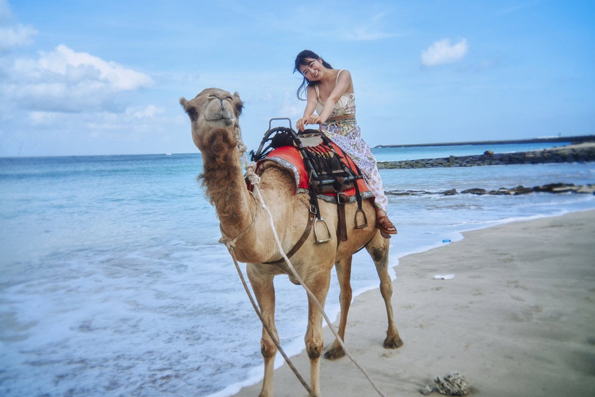 『福井梨莉華 1st写真集 あいの道しるべ』より