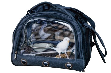 三上龍馬さんのハマりもの(愛鳥のBILLY)