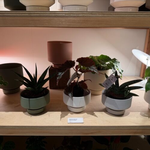 The Plant Society Tokyo Flagship