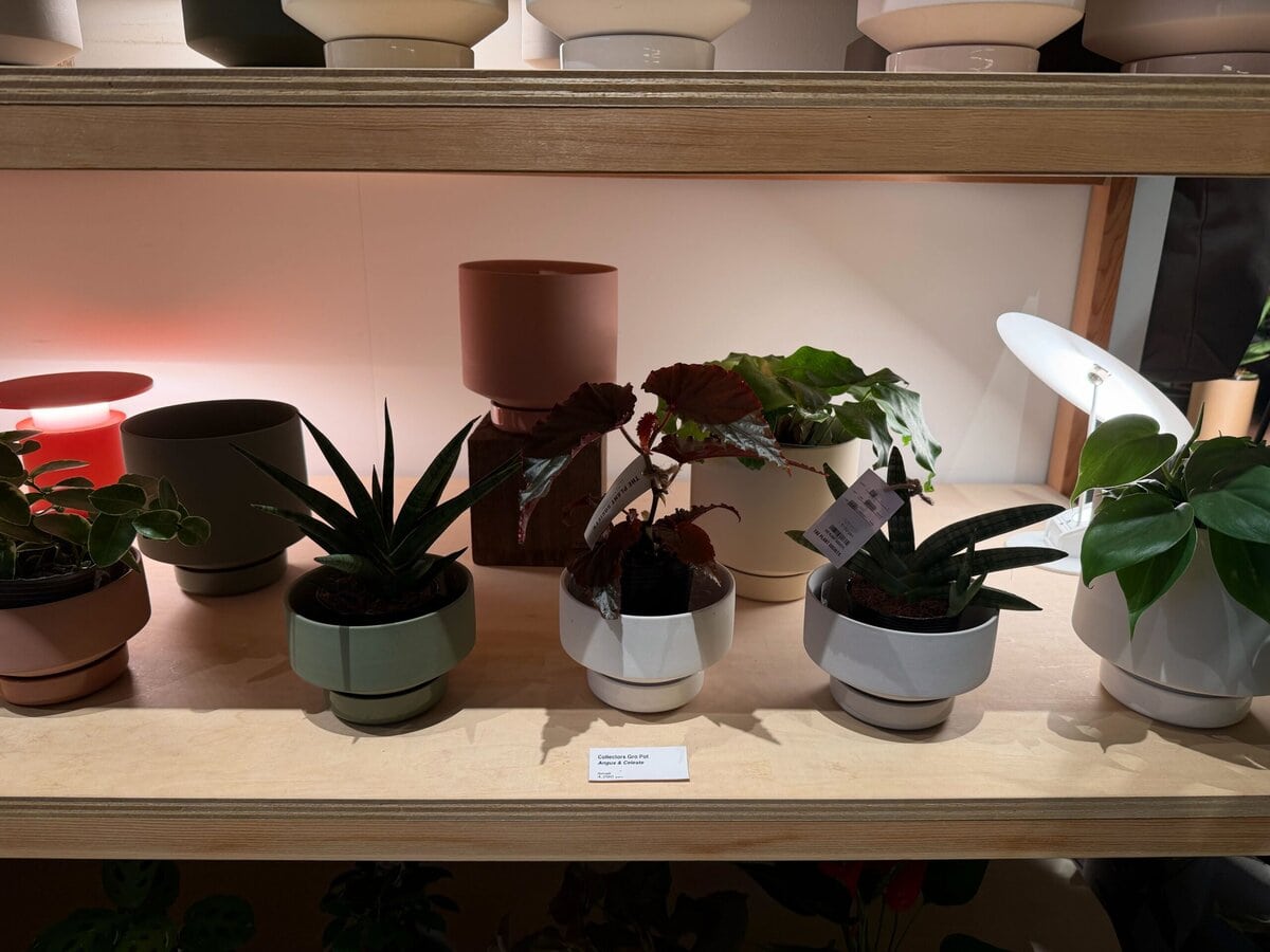 The Plant Society Tokyo Flagship
