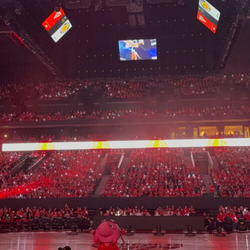 客席からライトで盛り上がる瞬間