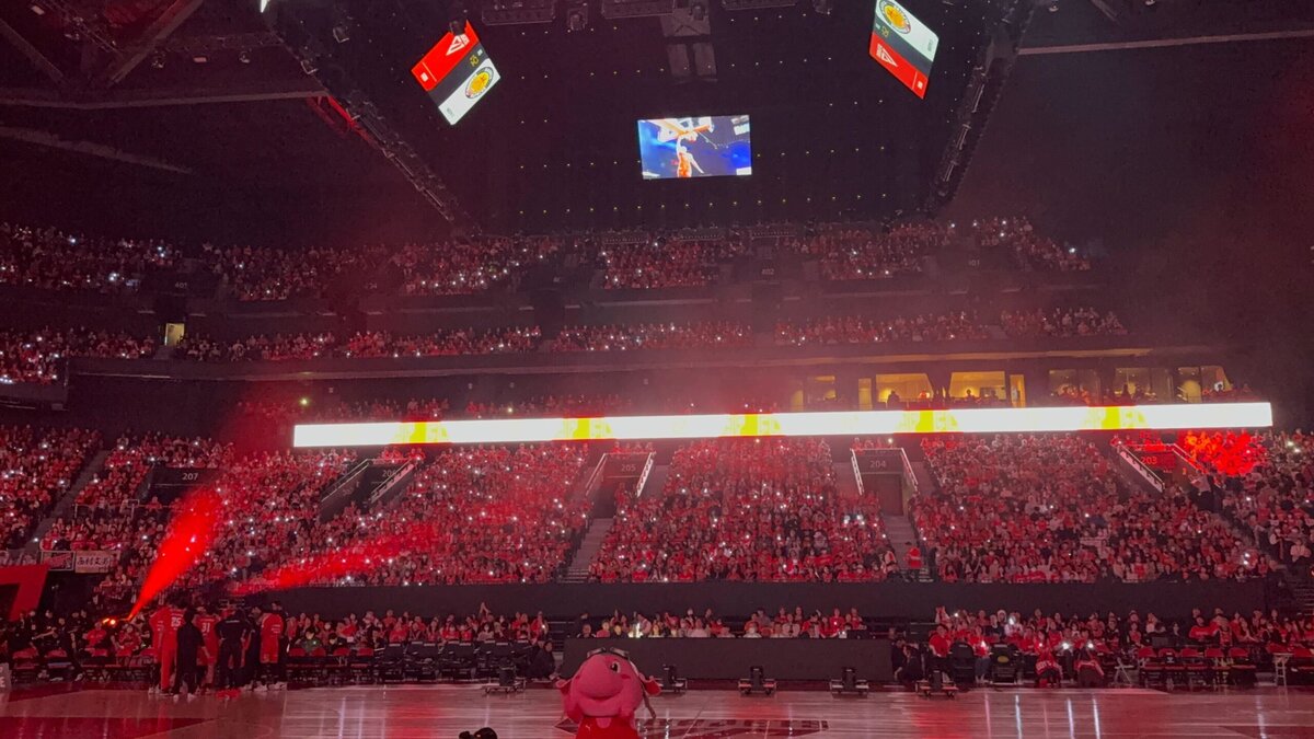 客席からライトで盛り上がる瞬間