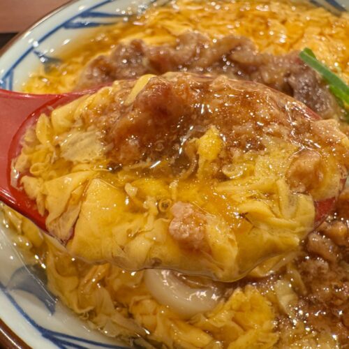 数回に分けて溶き卵を入れることで生まれる、なめらかで雲のような“ふわとろ”食感の玉子あんかけ