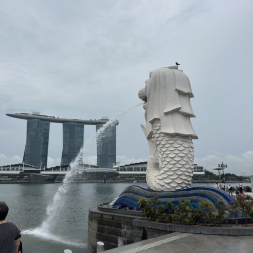 STANFORD所属のモデル・駒澤晴信の好きなもの③旅